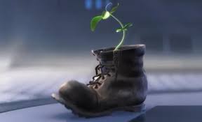 Plants